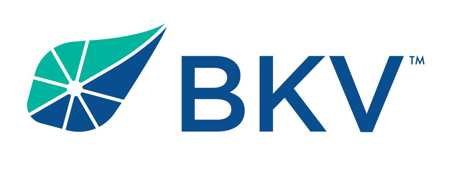 BKV Energy logo