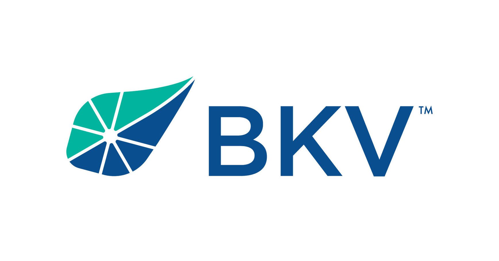 BKV Energy logo